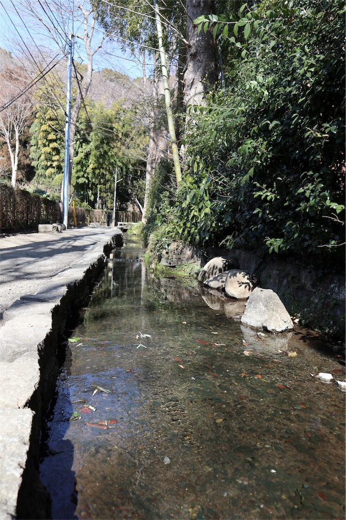 f:id:chizuchizuko:20180218211455j:image