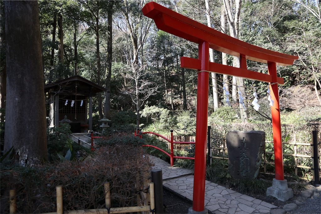 f:id:chizuchizuko:20180218211508j:image