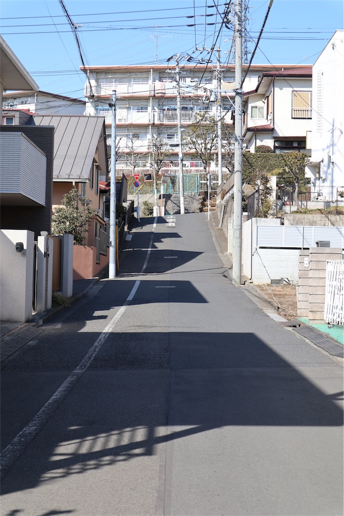 f:id:chizuchizuko:20180218211855j:image