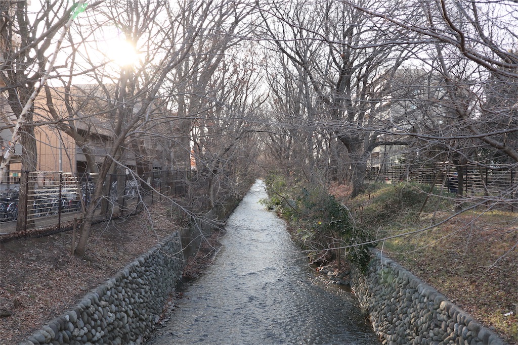 f:id:chizuchizuko:20180218212421j:image