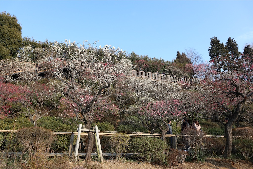 f:id:chizuchizuko:20180224200236j:image