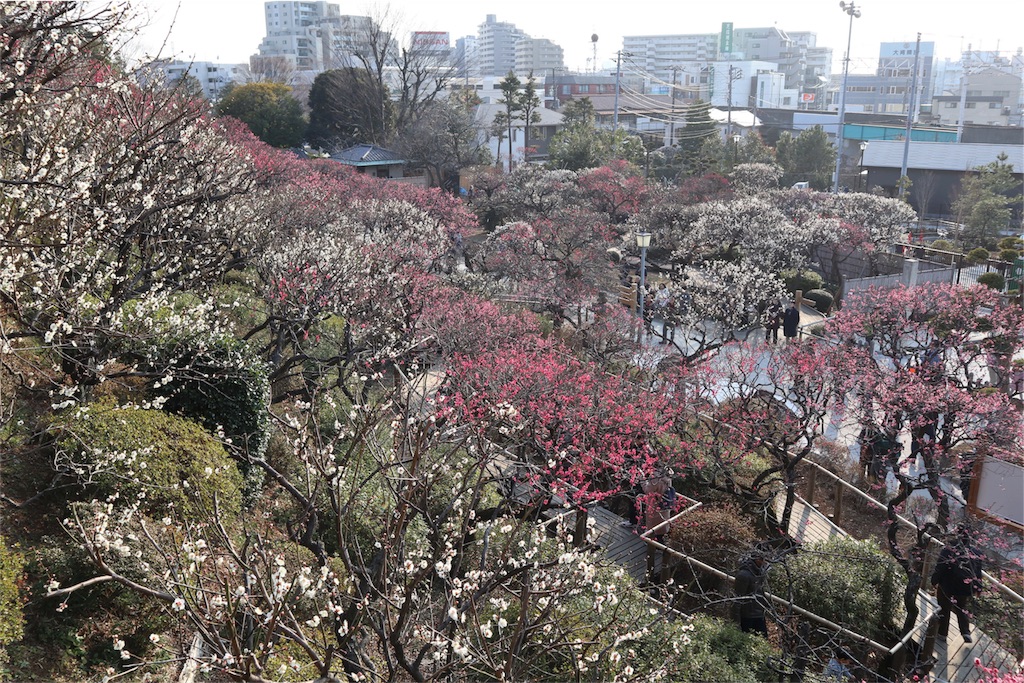 f:id:chizuchizuko:20180224200250j:image