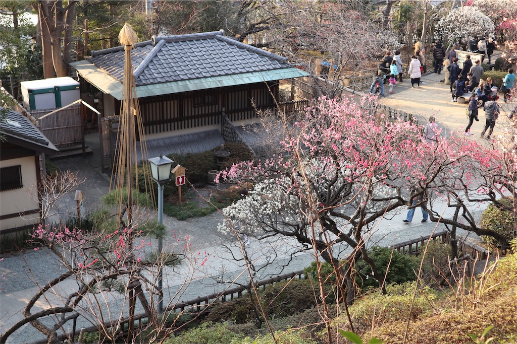 f:id:chizuchizuko:20180224200638j:image