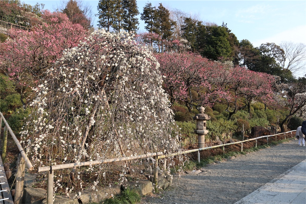 f:id:chizuchizuko:20180224200724j:image