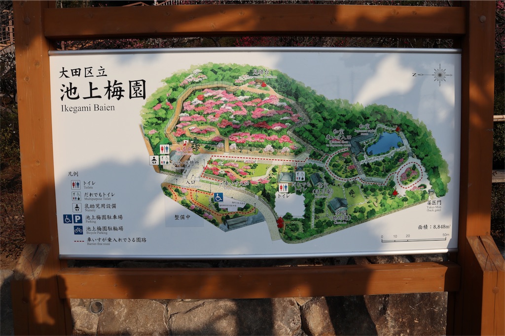 f:id:chizuchizuko:20180224200817j:image