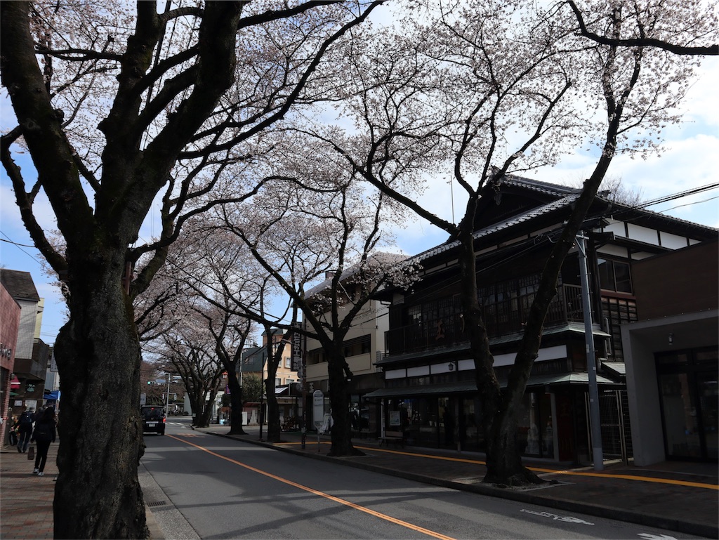 f:id:chizuchizuko:20180402103323j:image f:id:chizuchizuko:20180402103323j:image