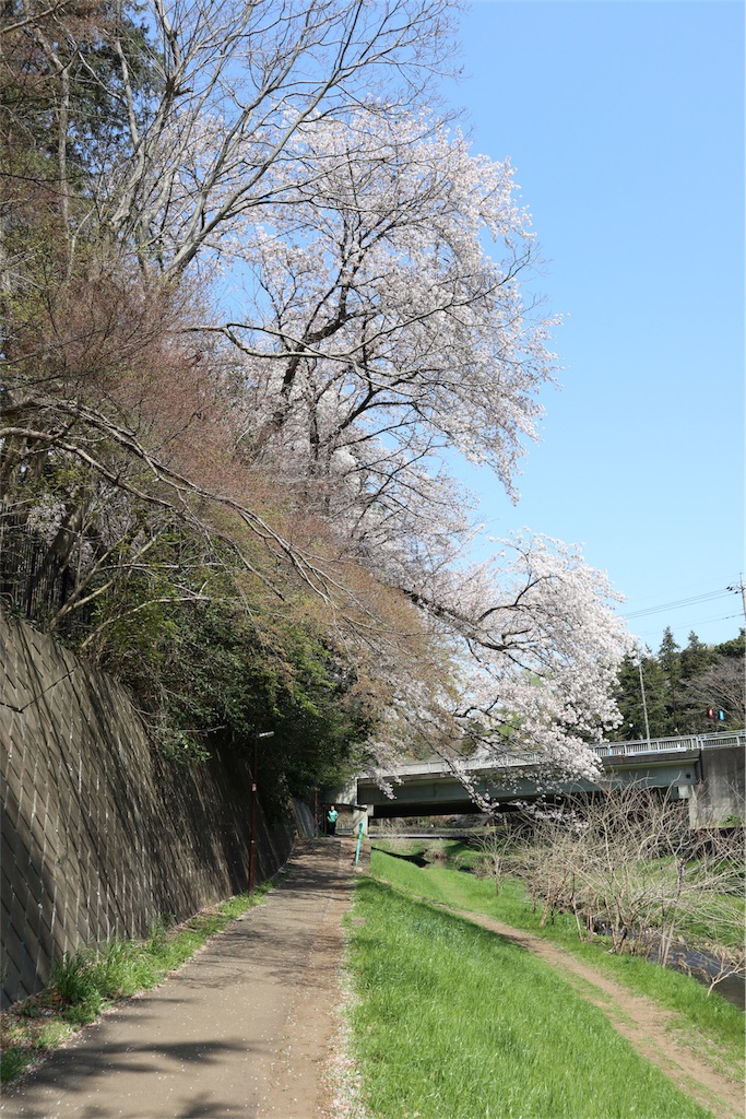 f:id:chizuchizuko:20180403122712j:image