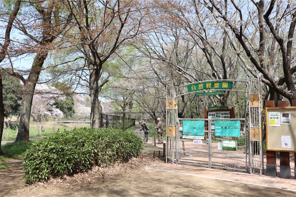 f:id:chizuchizuko:20180403123122j:image