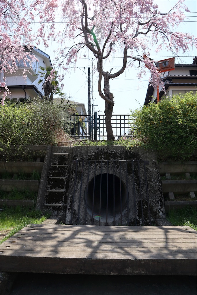 f:id:chizuchizuko:20180403123659j:image