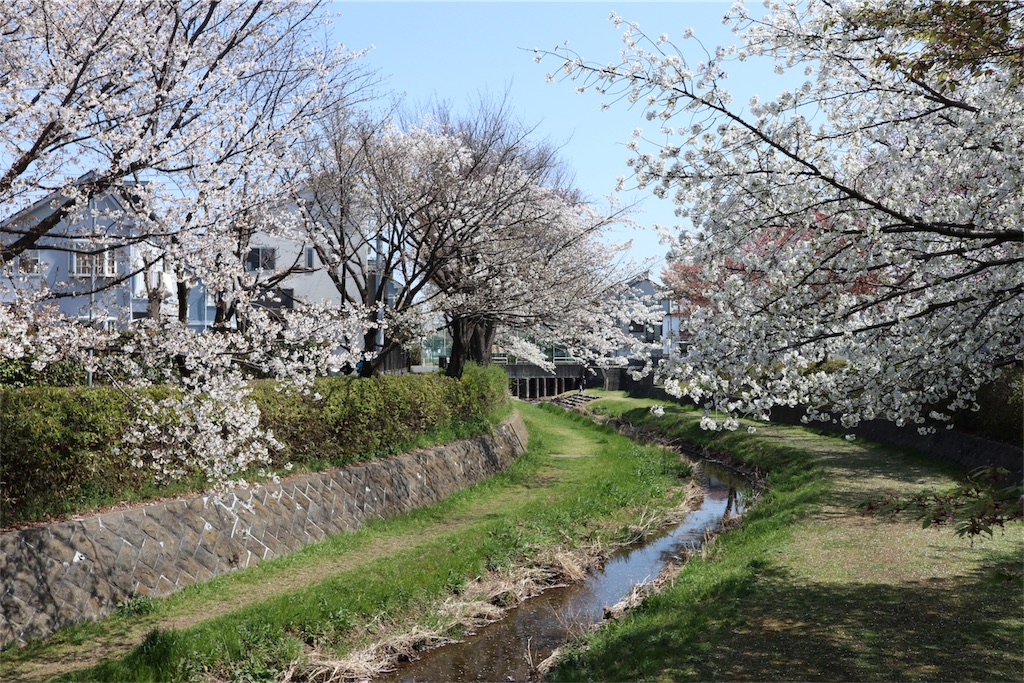 f:id:chizuchizuko:20180403123930j:image
