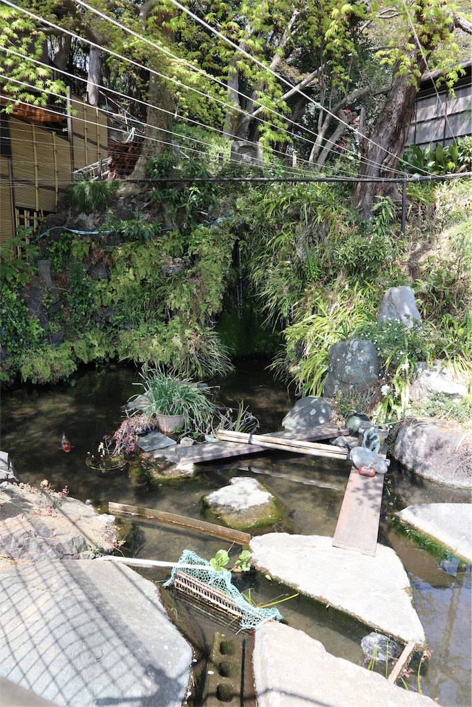 f:id:chizuchizuko:20180403124020j:image