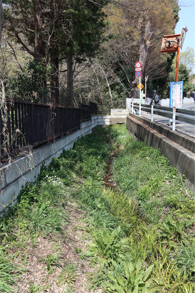 f:id:chizuchizuko:20180403124032j:image
