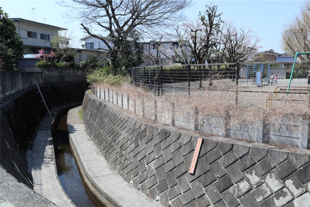 f:id:chizuchizuko:20180403124101j:image