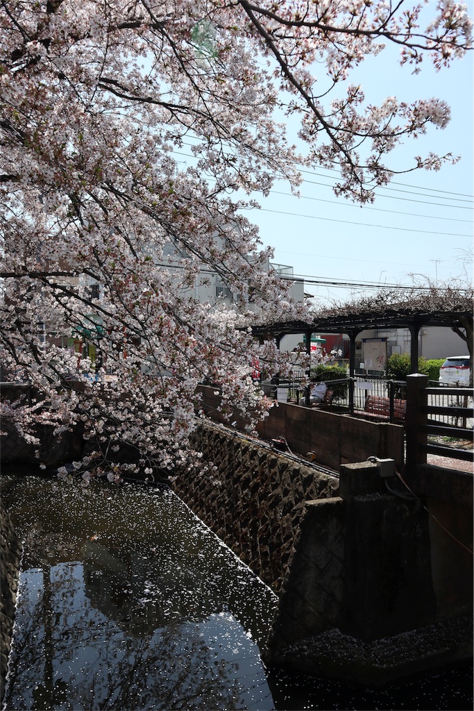 f:id:chizuchizuko:20180403124233j:image