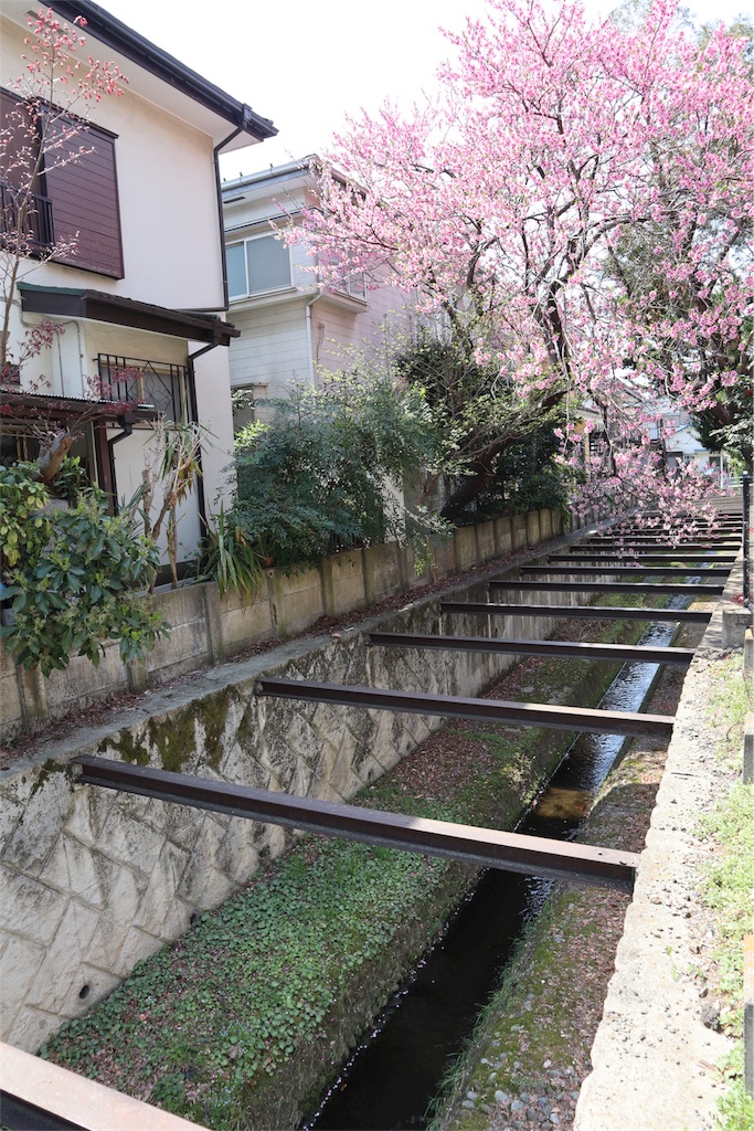 f:id:chizuchizuko:20180403124249j:image