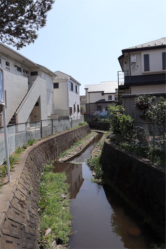 f:id:chizuchizuko:20180403124446j:image
