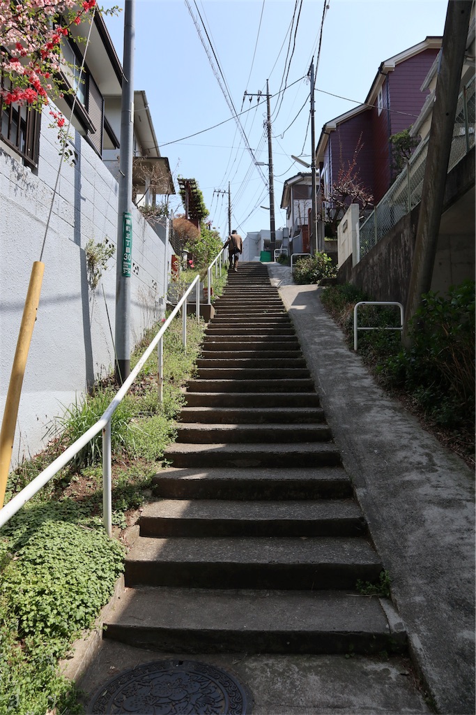 f:id:chizuchizuko:20180403124517j:image