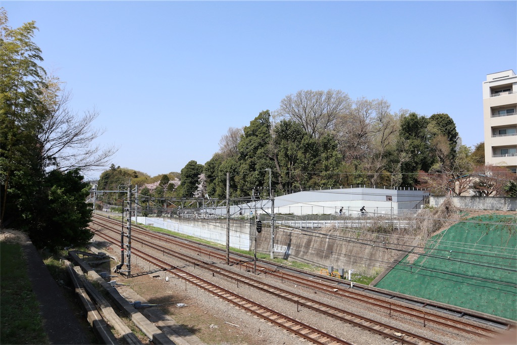 f:id:chizuchizuko:20180403124526j:image