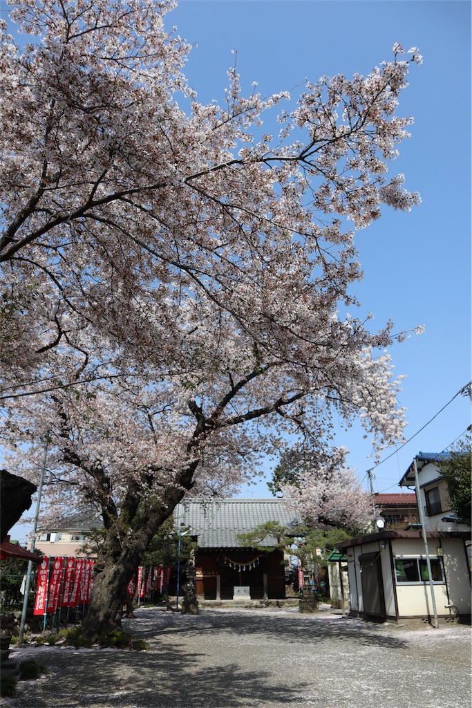 f:id:chizuchizuko:20180407230007j:image