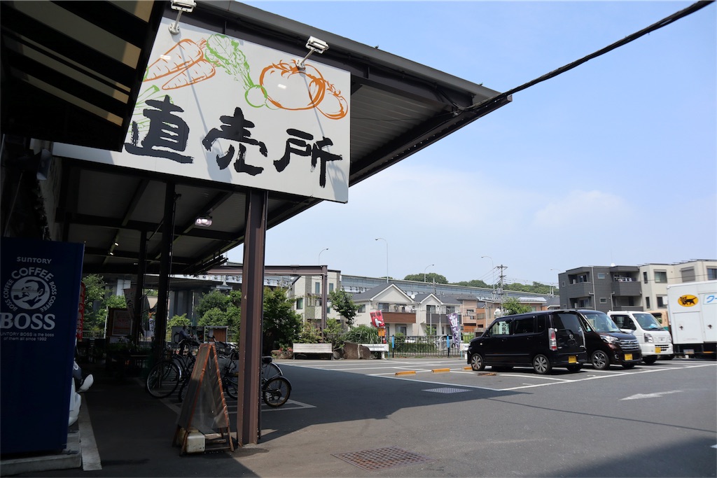 f:id:chizuchizuko:20180518210358j:image