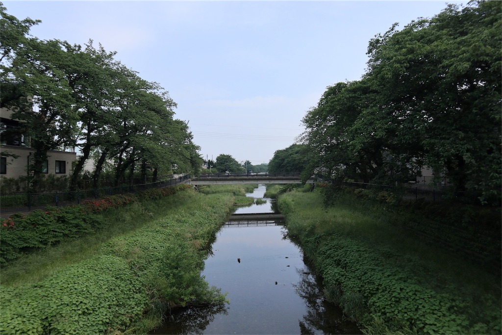 f:id:chizuchizuko:20180518210439j:image