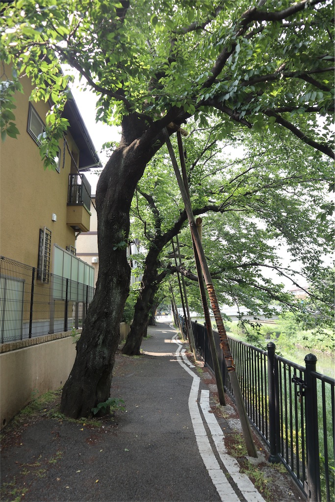f:id:chizuchizuko:20180518210605j:image