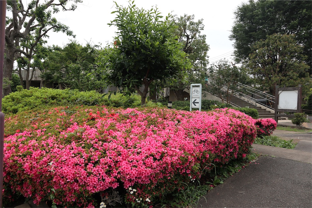 f:id:chizuchizuko:20180518213725j:image