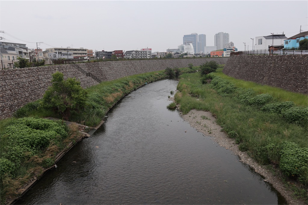 f:id:chizuchizuko:20180518214749j:image