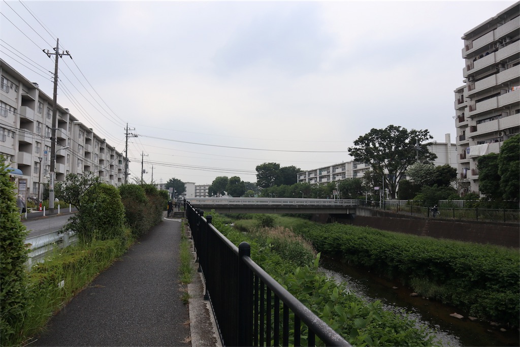 f:id:chizuchizuko:20180518221834j:image