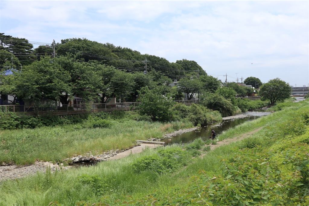 f:id:chizuchizuko:20180519120957j:image