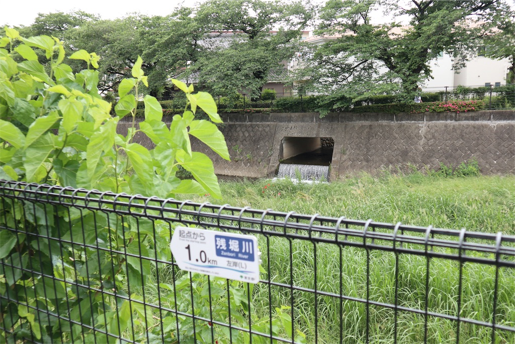 f:id:chizuchizuko:20180522134343j:image f:id:chizuchizuko:20180522134343j:image