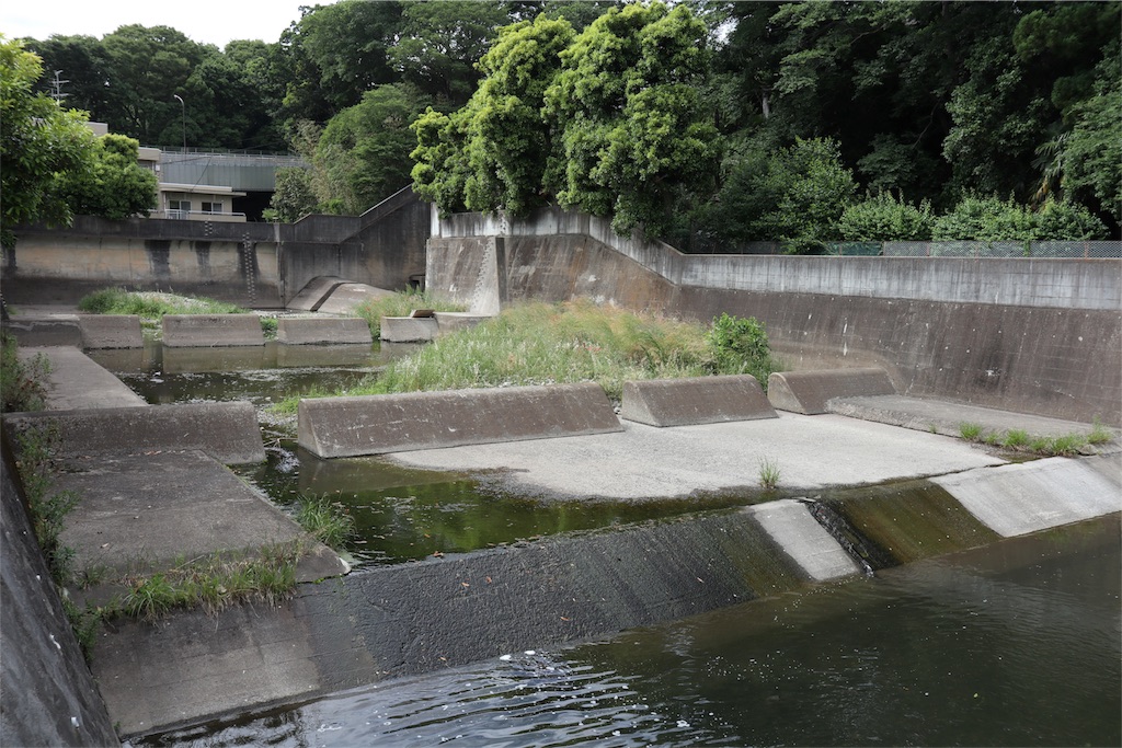 f:id:chizuchizuko:20180522134350j:image f:id:chizuchizuko:20180522134350j:image