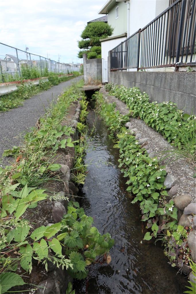 f:id:chizuchizuko:20180522134423j:image f:id:chizuchizuko:20180522134423j:image