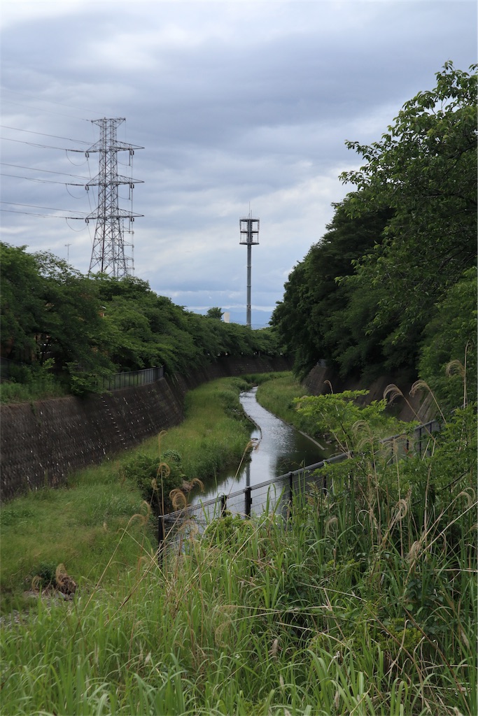 f:id:chizuchizuko:20180522134445j:image f:id:chizuchizuko:20180522134445j:image
