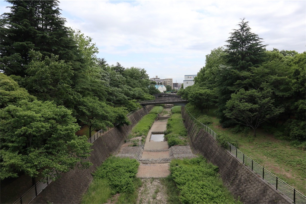 f:id:chizuchizuko:20180522134653j:image