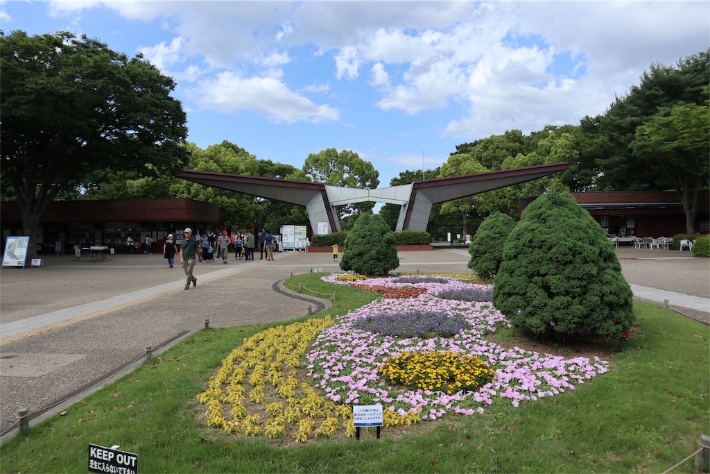 f:id:chizuchizuko:20180522134657j:image