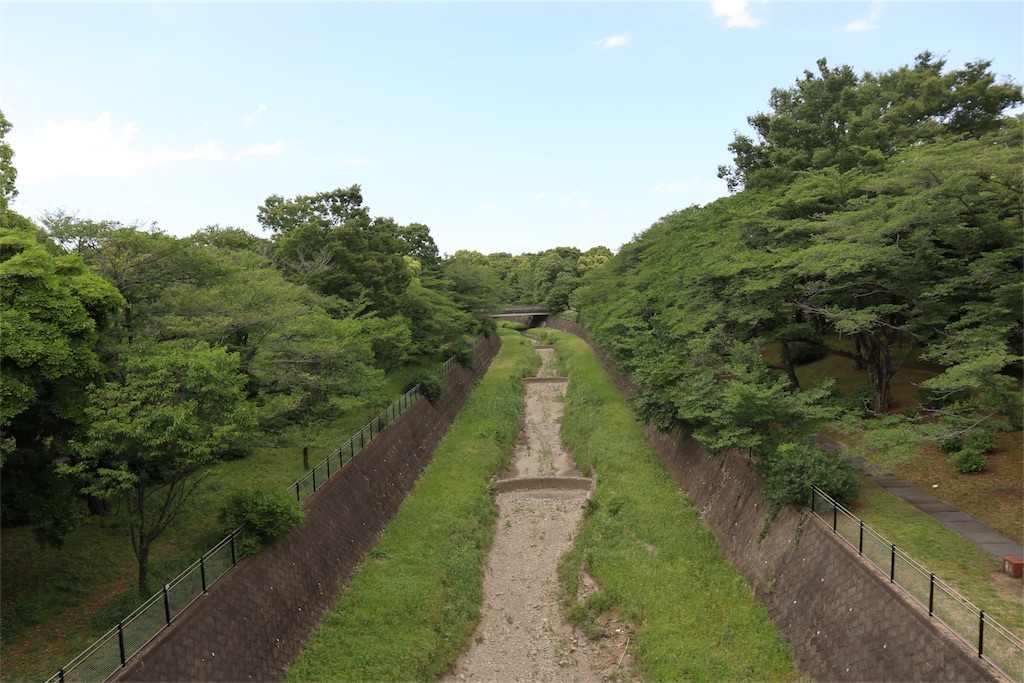 f:id:chizuchizuko:20180522134733j:image