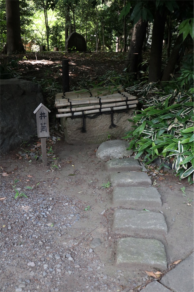 f:id:chizuchizuko:20180528103321j:image