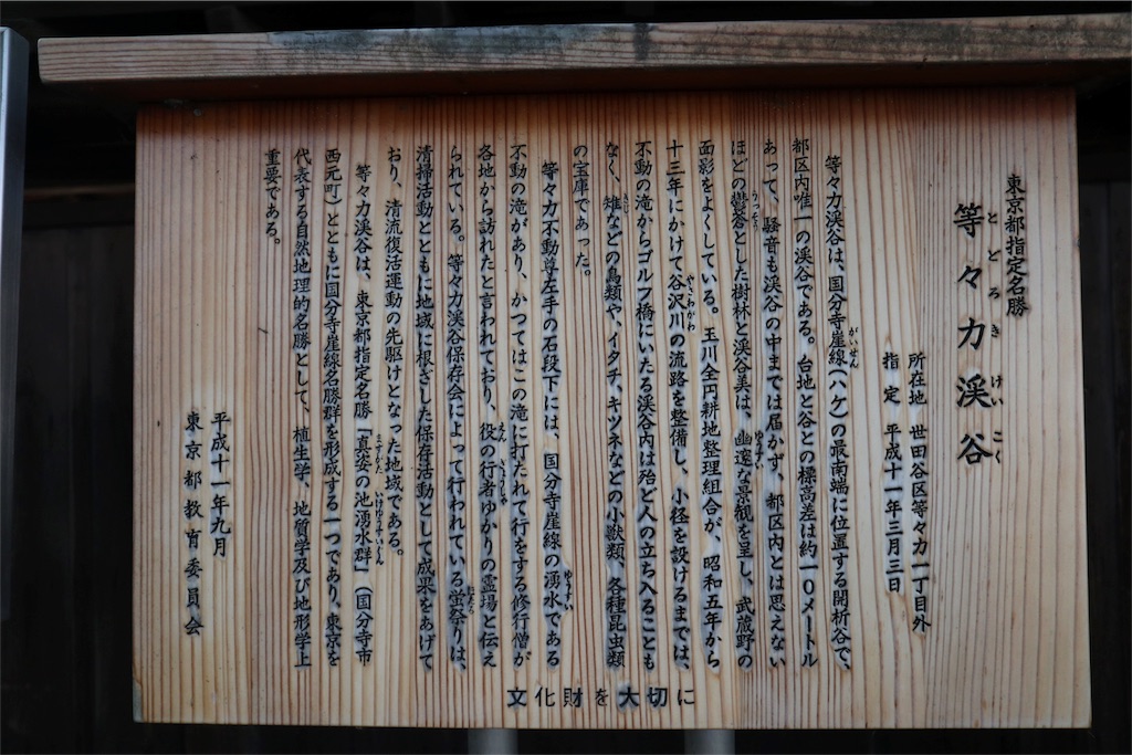 f:id:chizuchizuko:20180528103338j:image