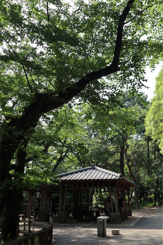 f:id:chizuchizuko:20180528103357j:image