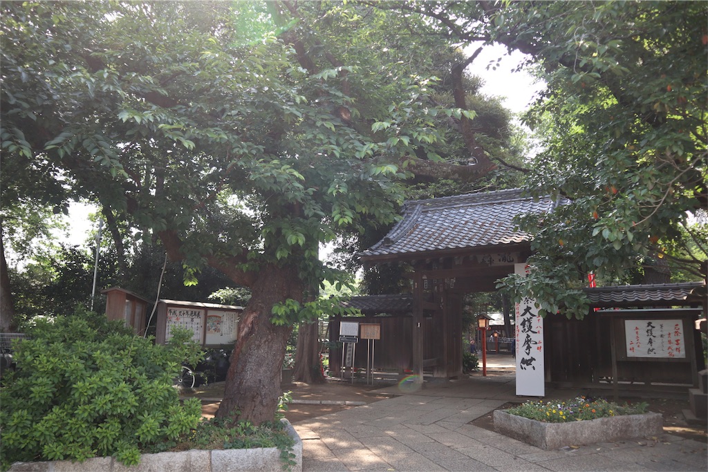 f:id:chizuchizuko:20180528103411j:image