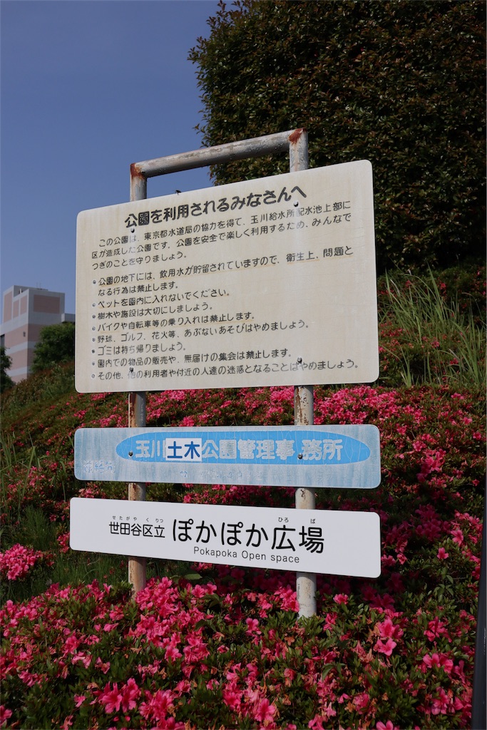 f:id:chizuchizuko:20180528103449j:image