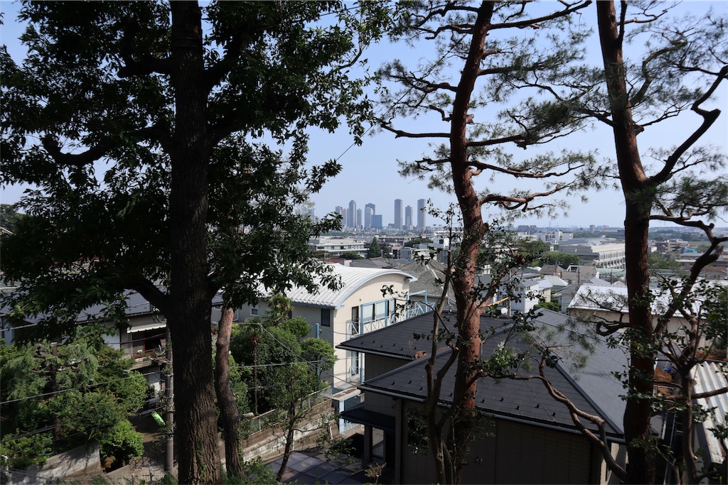 f:id:chizuchizuko:20180528103504j:image