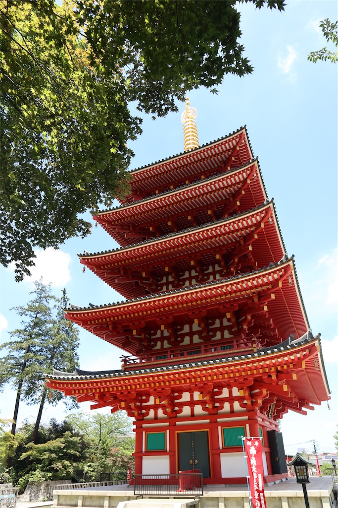 f:id:chizuchizuko:20180620104334j:image