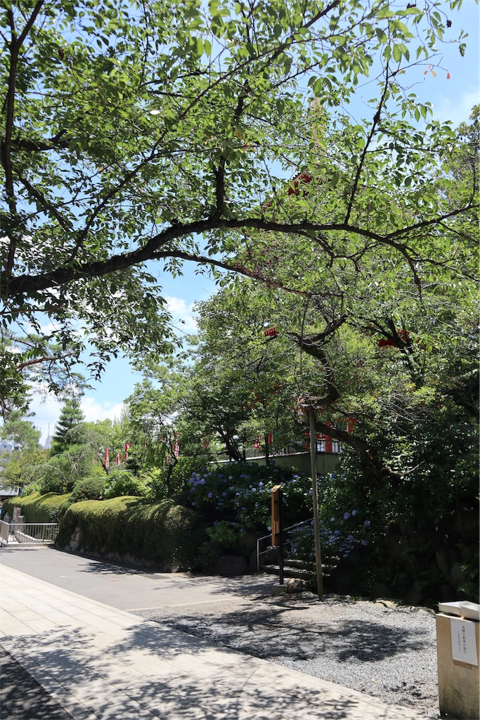 f:id:chizuchizuko:20180620113559j:image