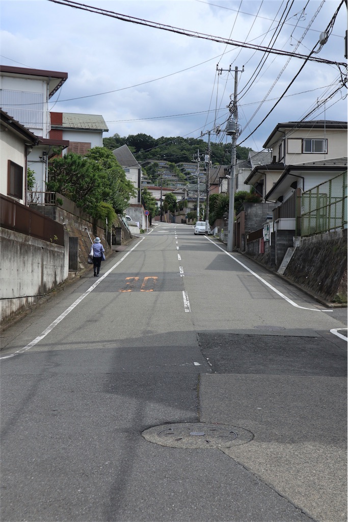f:id:chizuchizuko:20180620113755j:image