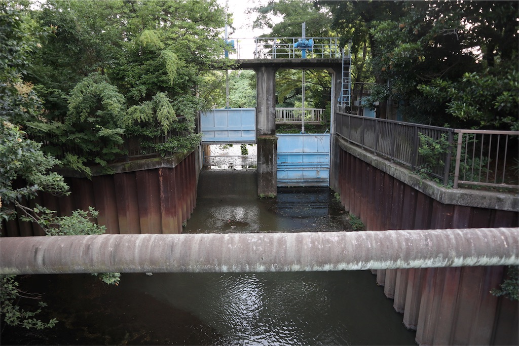 f:id:chizuchizuko:20180708103744j:image