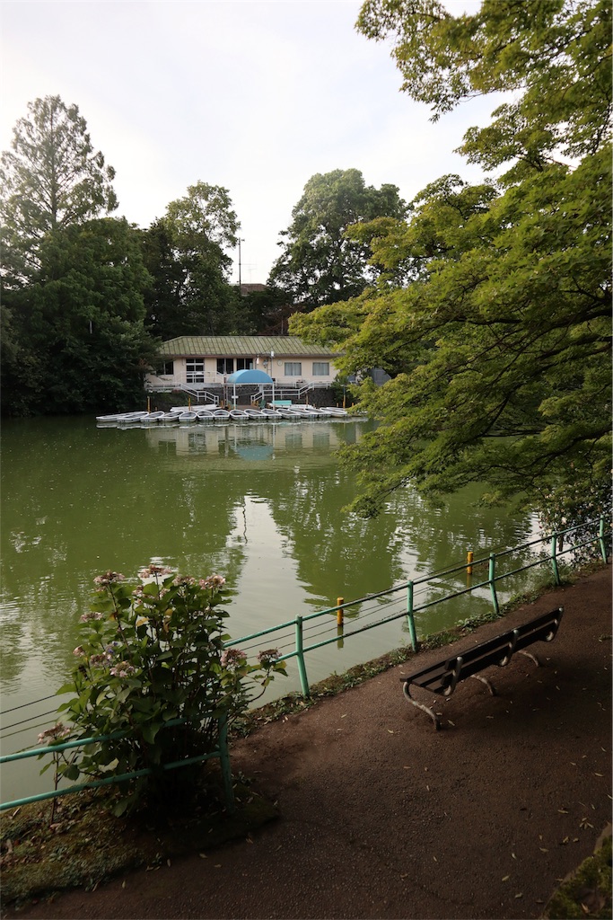 f:id:chizuchizuko:20180708103800j:image