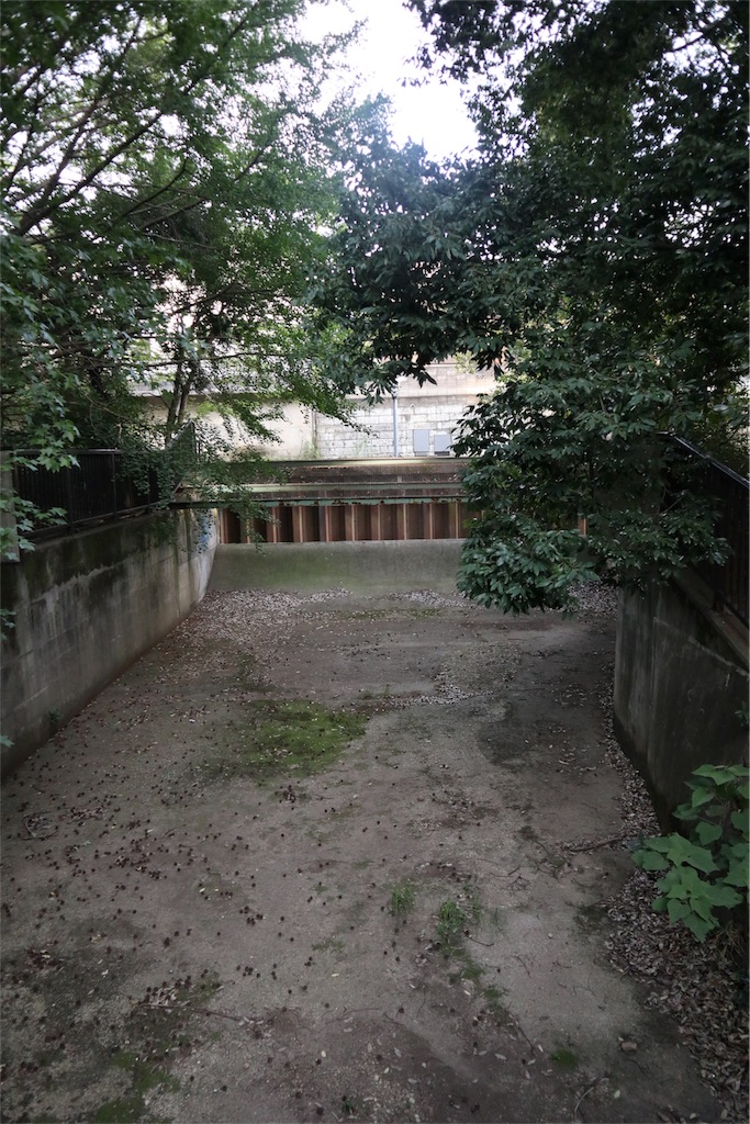 f:id:chizuchizuko:20180708104044j:image