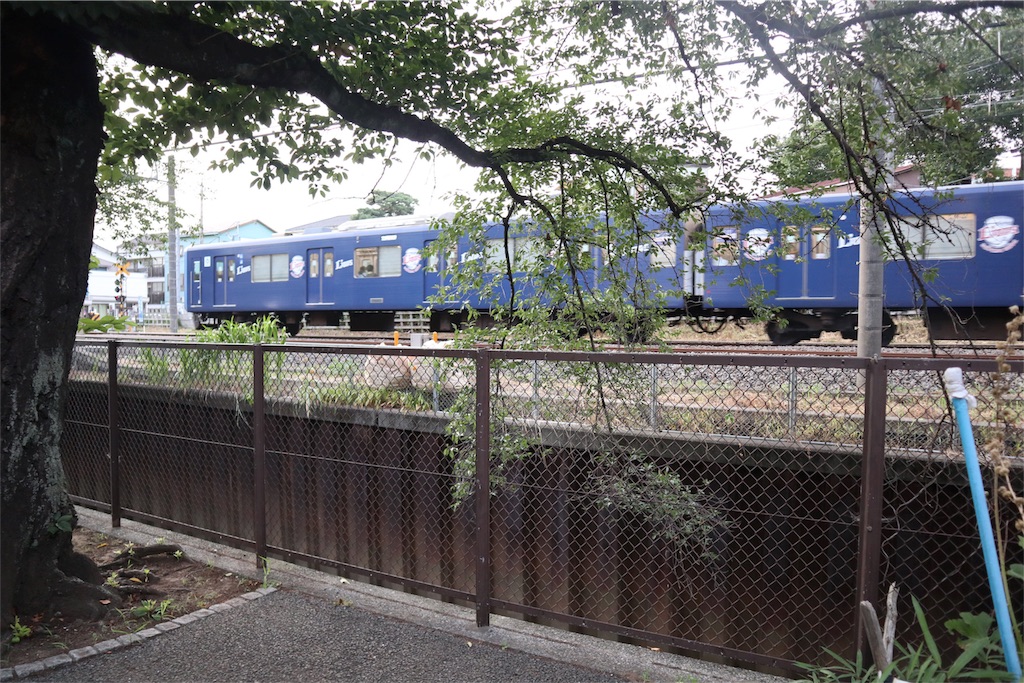 f:id:chizuchizuko:20180708104155j:image